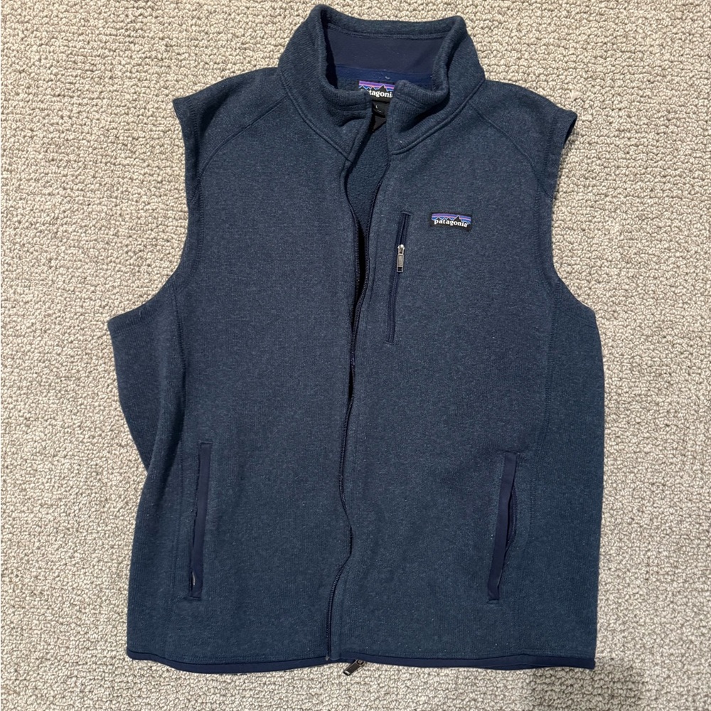 Patagonia Deep Blue Fleece Vest